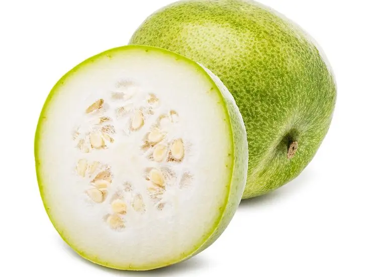 Winter Melon