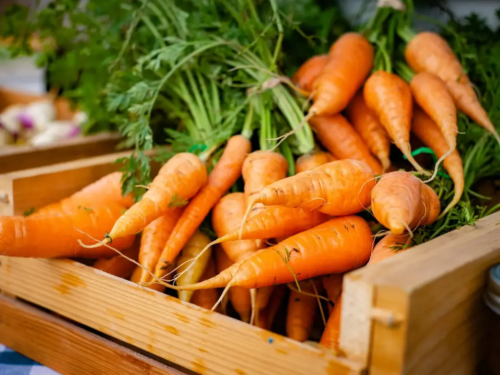 Carrot