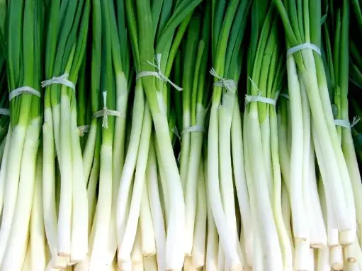 Spring Onions