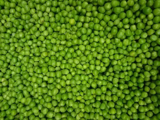 Pea Shoots