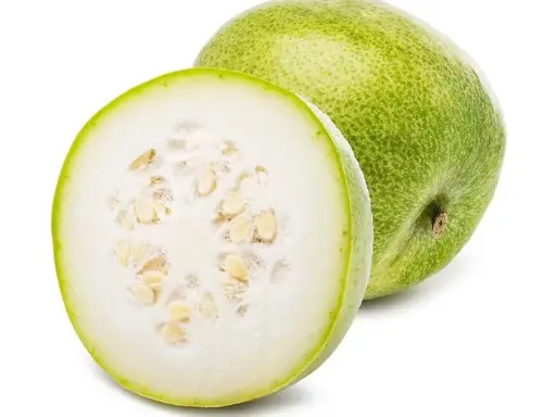 Winter Melon