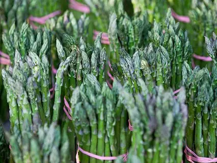 Asparagus