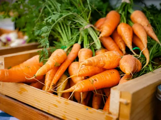 Carrot