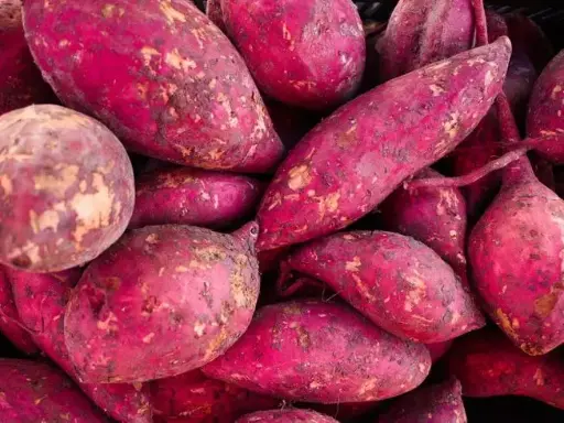 Purple Sweet Potato