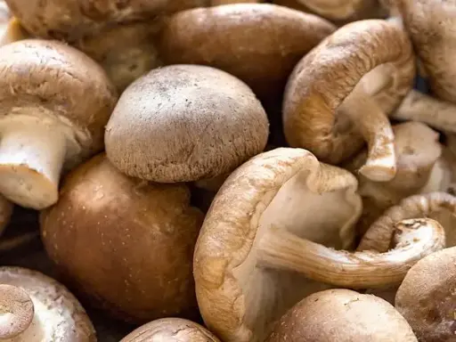 Shiitake Mushrooms